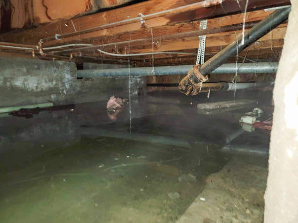 Best 24/7 water damage repair  in Henryetta, OK