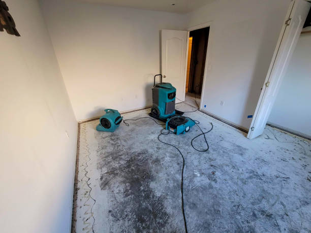 Best Carpet water damage restoration  in Henryetta, OK