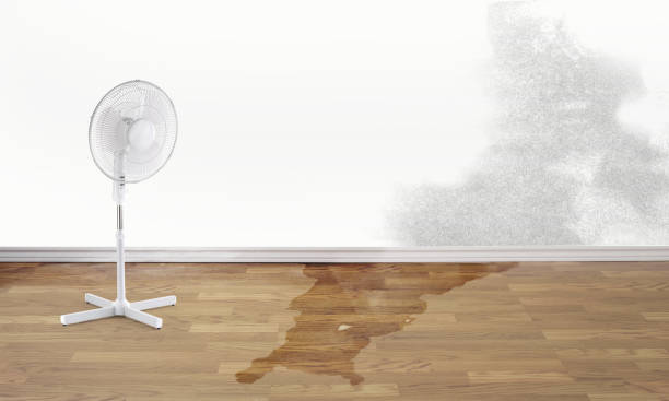 Best Sewage cleanup and water damage restoration  in Henryetta, OK
